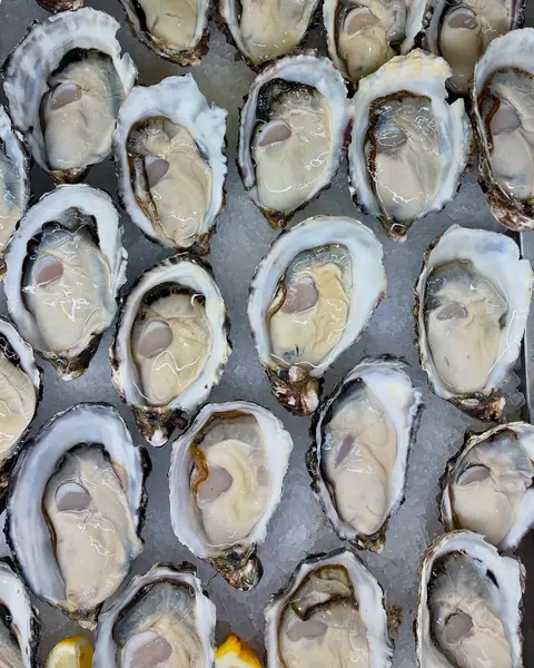 A tray of freshly opened Sydney rock oysters